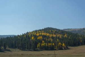 20201020FallColors2020083.jpg